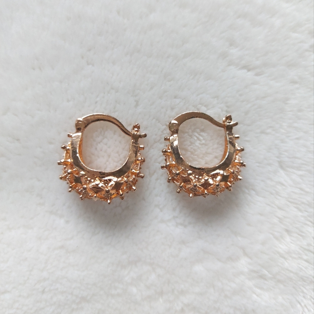 Gold Earrings